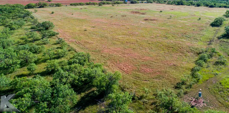 10674 County Road 312, Moran, TX 76464 - #2
