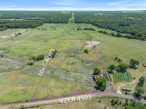 10.02 Acres Vz County Road 4503, Ben Wheeler, TX 75754