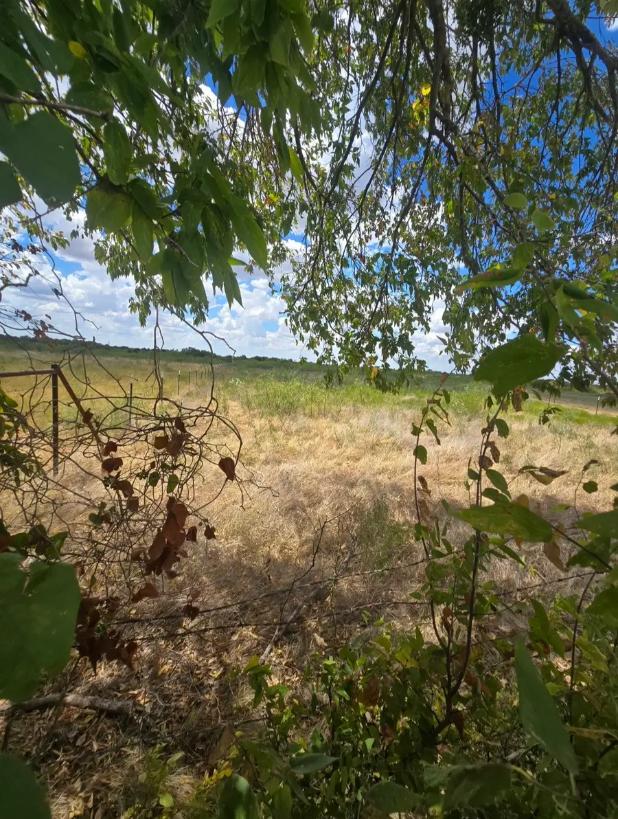 TBD NW County Rd 1300, Barry, TX 75102 - #3