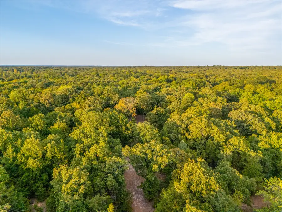 TBD Farm To Market 197, Arthur City, TX 75411 - #2
