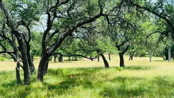 Lot 26 Swiss Ranch Rd, Round Mountain, TX 78663