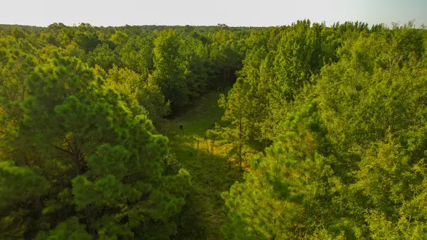 1763 Fm 2118, Bagwell, TX 75412