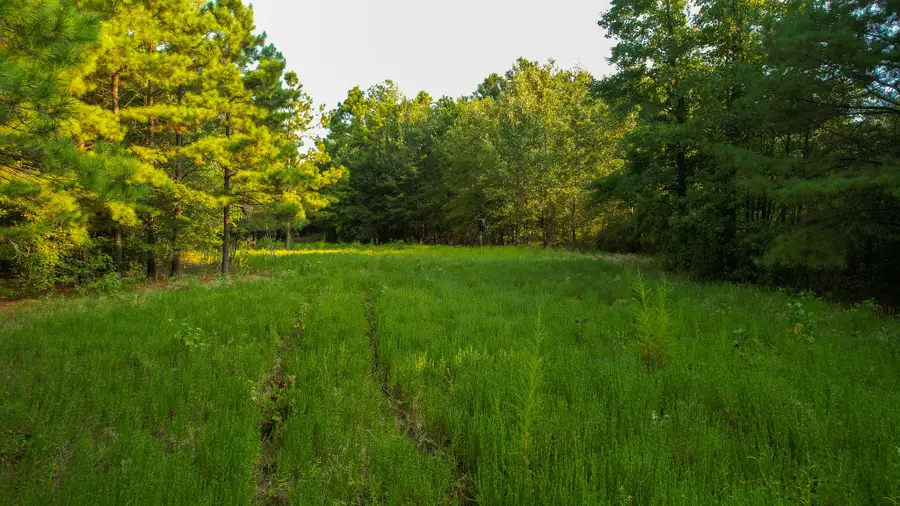 1763 Fm 2118, Bagwell, TX 75412 - #2