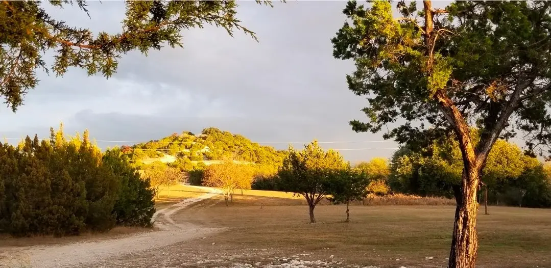 355 County Road 2800, Morgan, TX 76671 - #1