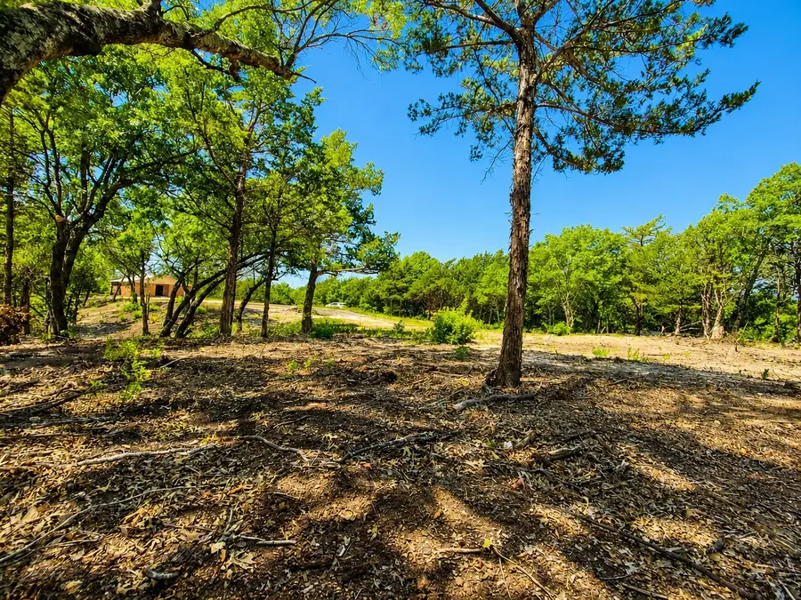 1264 Redmoore Road, Whitewright, TX 75491 - #3