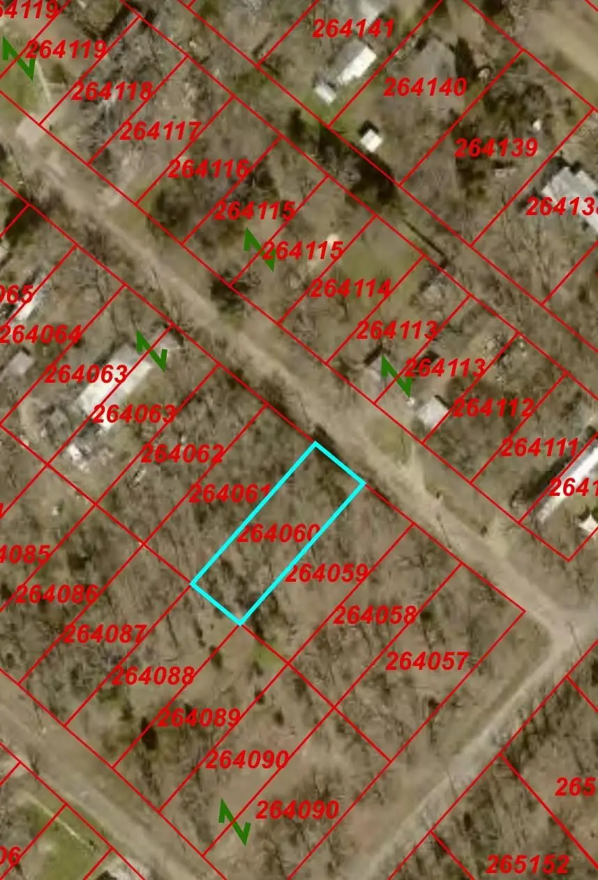 5550 Sam Houston Drive, Log Cabin, TX 75148 - #1