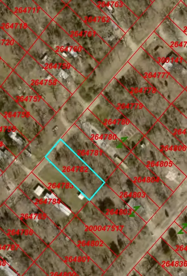 0 San Jacinto Drive, Log Cabin, TX 75148