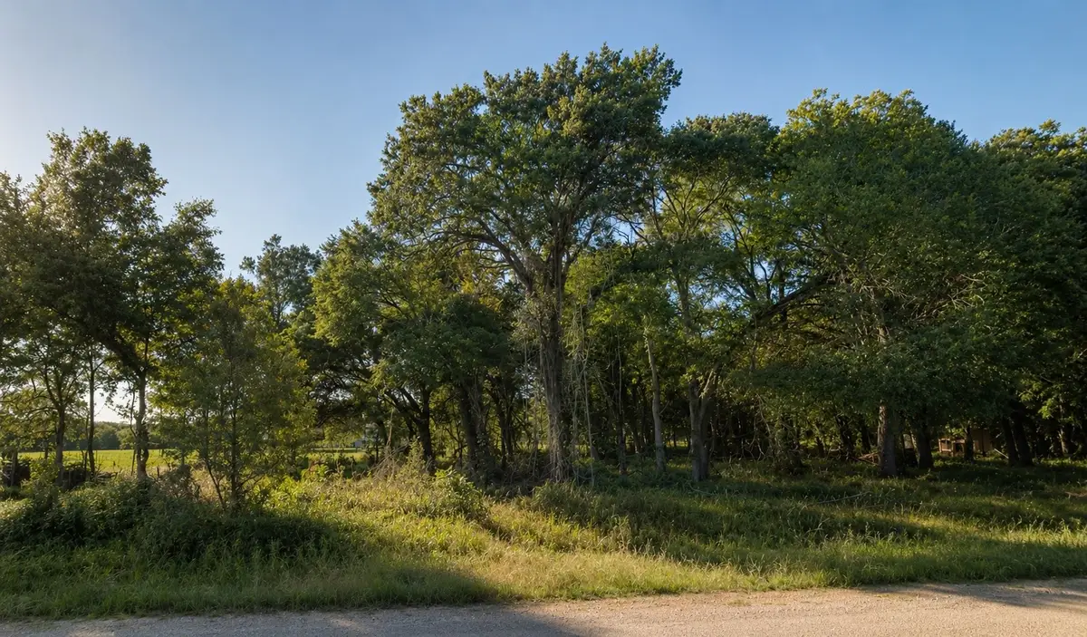 11950 Trinity Hills Road, Kemp, TX 75143 - #1
