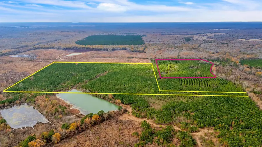 TBD Cr-4308, De Kalb, TX 75559 - #2