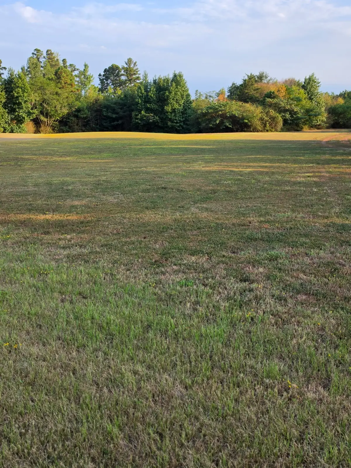 TBD Cr-335, Tyler, TX 75708 - #1