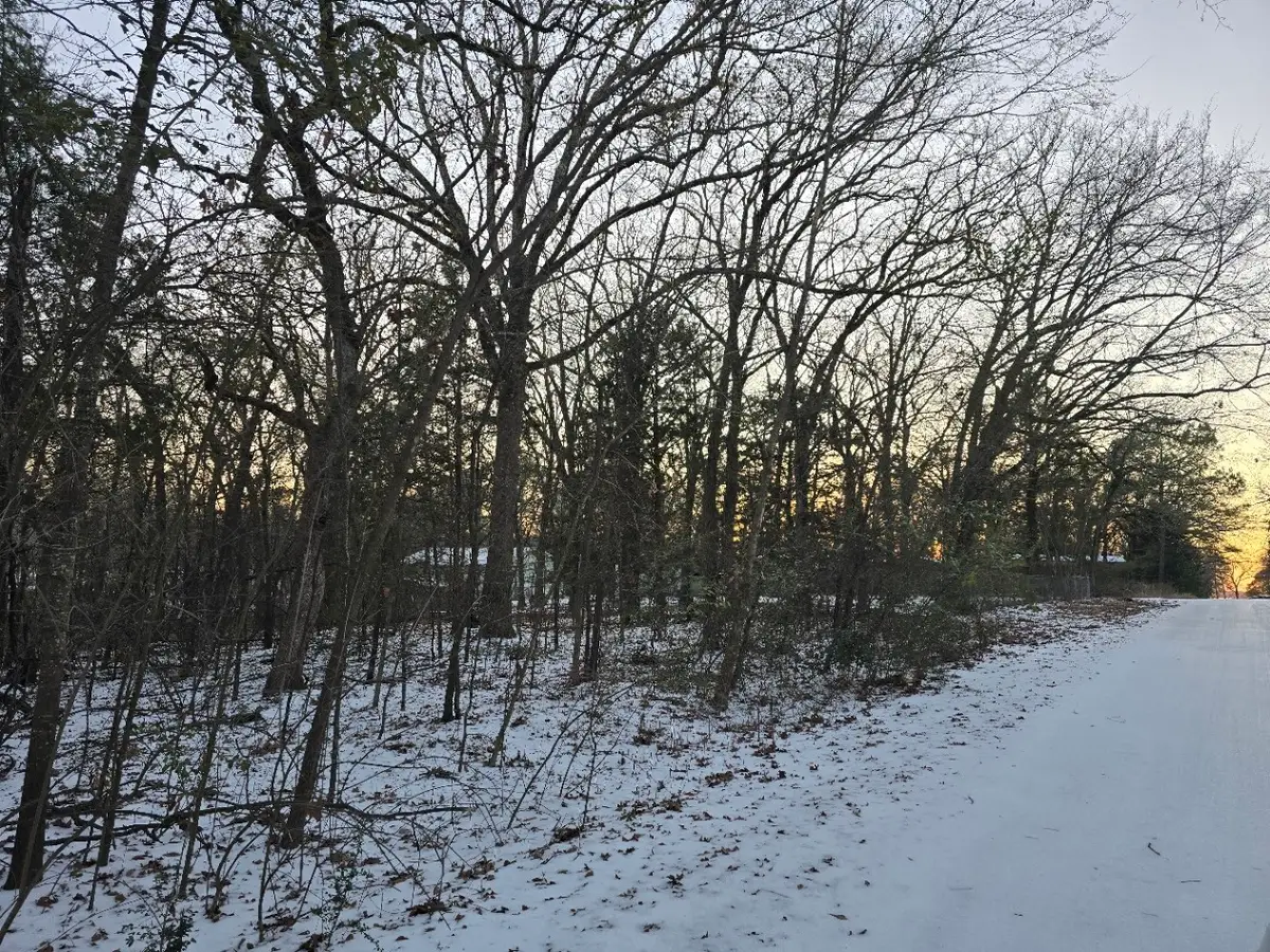 Lot 752 Doe Run Road, Gun Barrel City, TX 75156 - #1