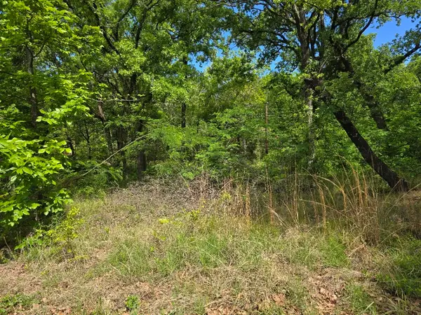 Lot 700 Shady Grove Road, Gun Barrel City, TX 75156