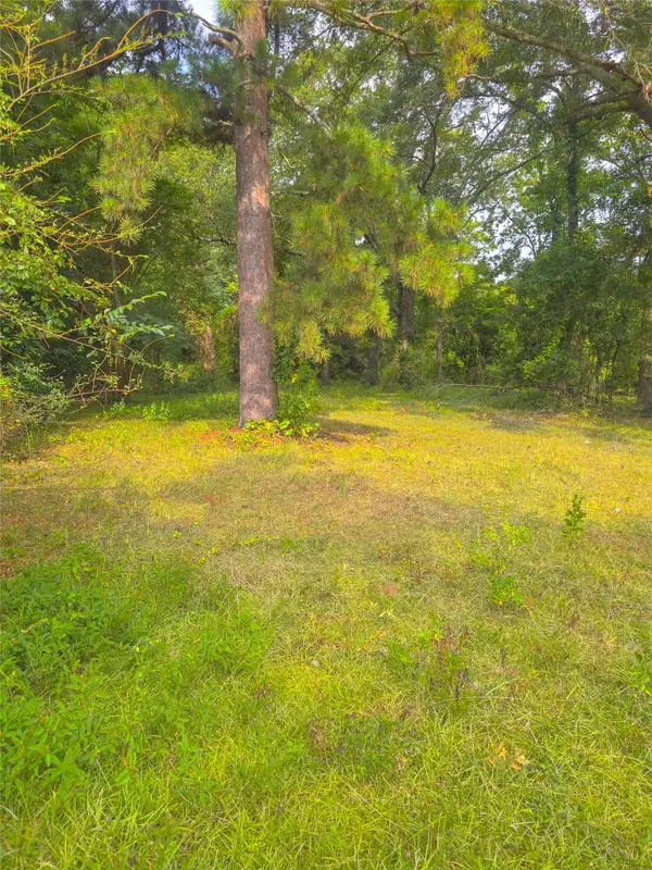 1109 Sibley Road, Minden, LA 71055