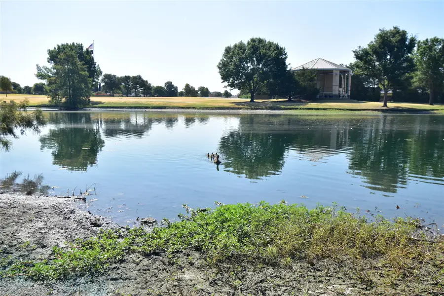 1109 Shadow Lakes Boulevard, Allen, TX 75002 - #3