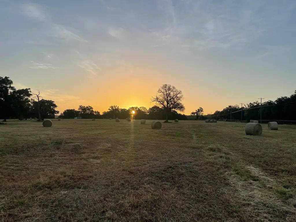 Lot 36 Cr 1200, Athens, TX 75751 - #1