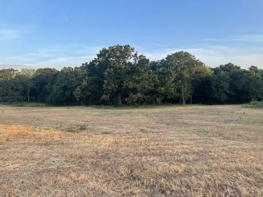 Lot 36 Cr 1200, Athens, TX 75751 - #3