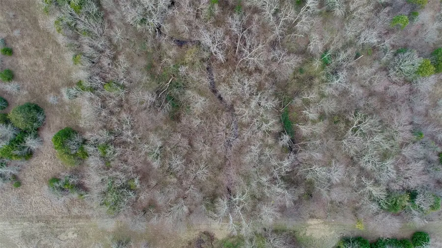 TBD Farm To Market 2737, Lone Oak, TX 75453 - #3