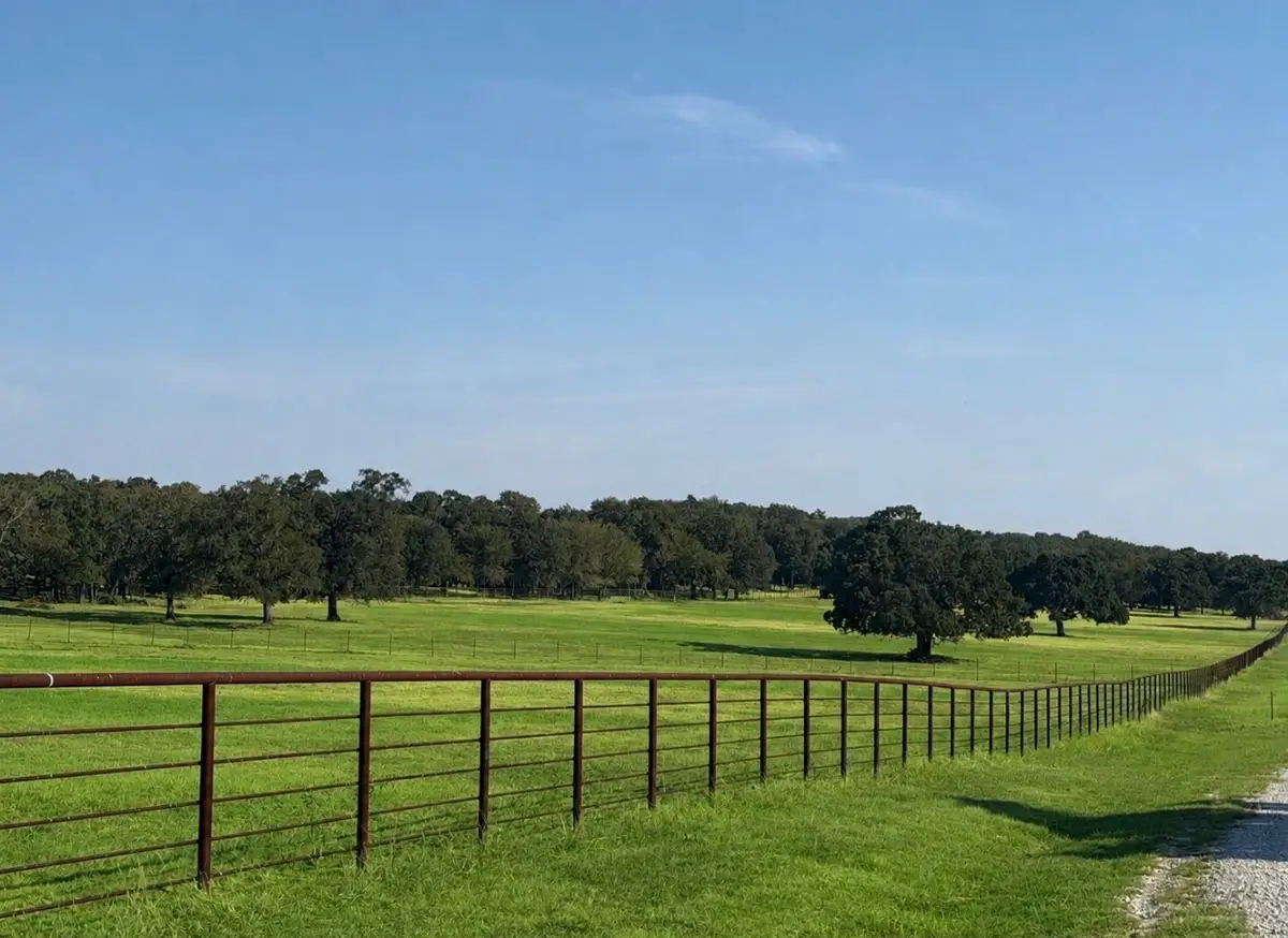 TBD Springs Road, Valley View, TX 76272 - #1
