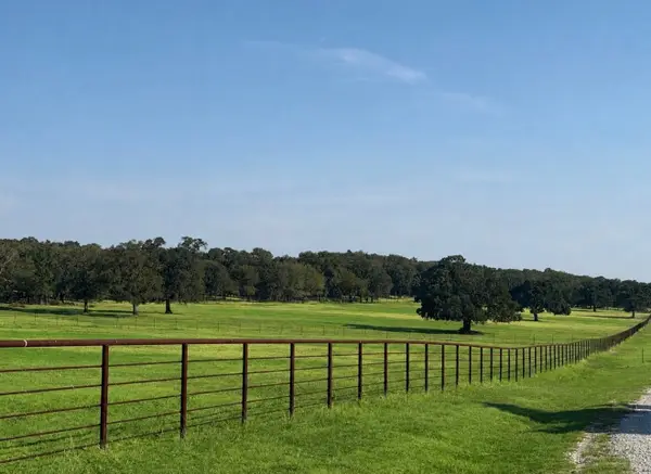 TBD Springs Road, Valley View, TX 76272