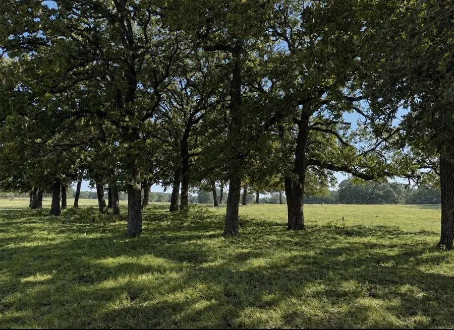 TBD Springs Road, Valley View, TX 76272 - #3