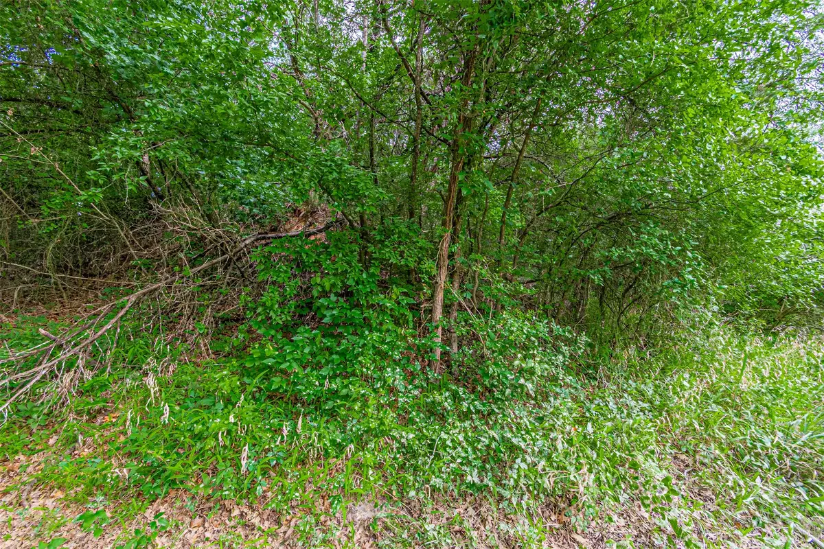 2811 River View Trail, Granbury, TX 76048 - #1