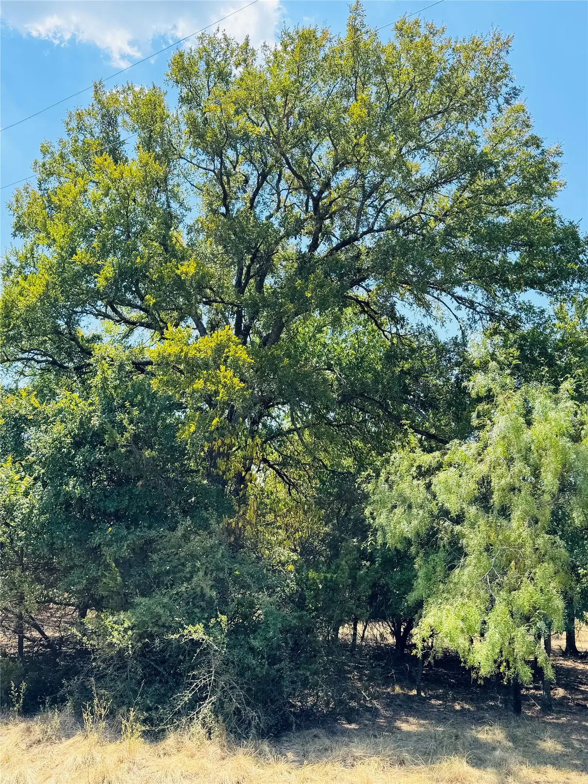 14057 Sandy Oaks Drive, Whitney, TX 76692 - #1