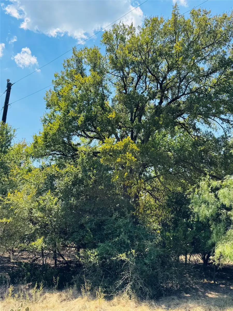 14057 Sandy Oaks Drive, Whitney, TX 76692 - #2