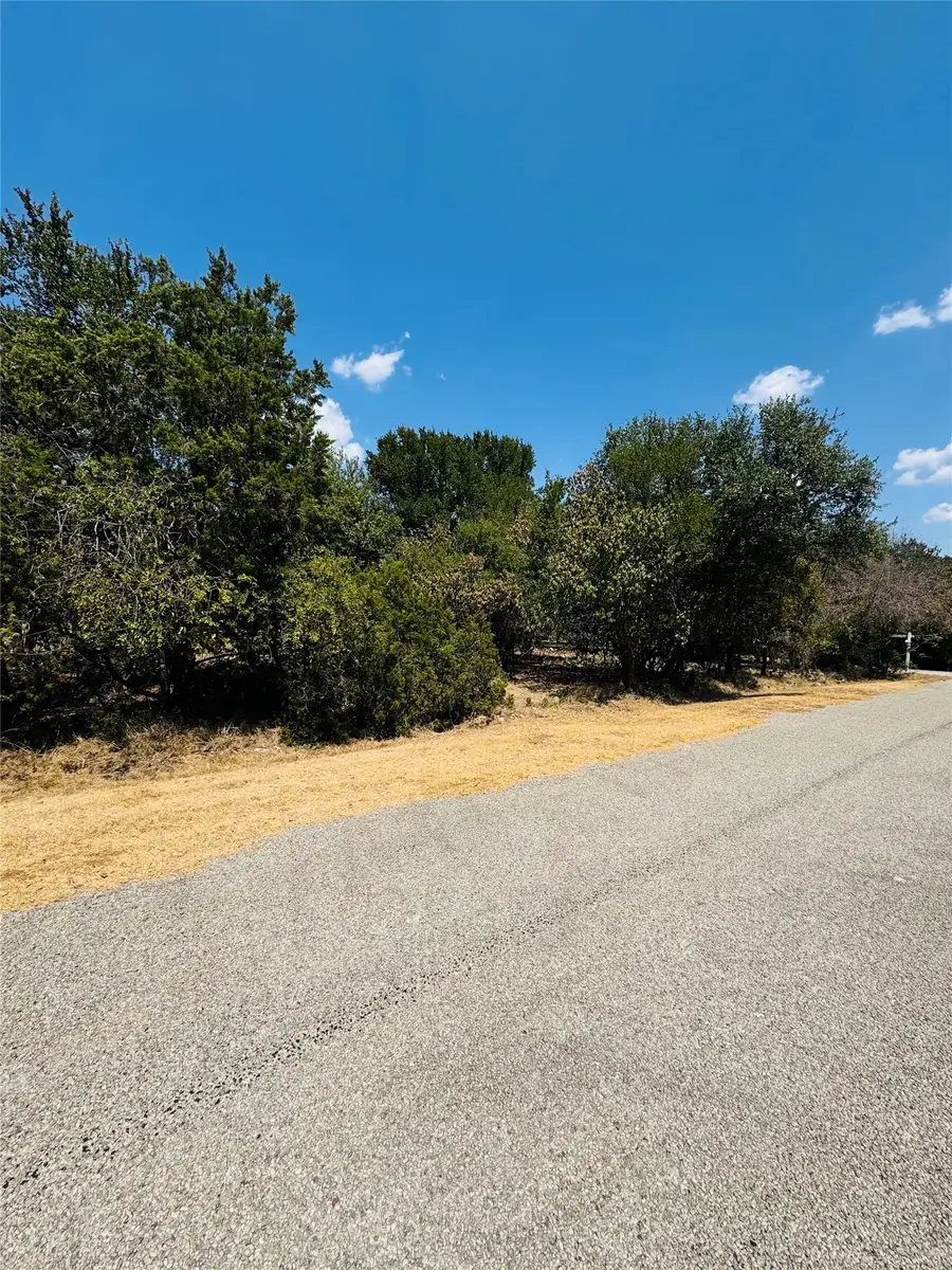 14057 Sandy Oaks Drive, Whitney, TX 76692 - #3
