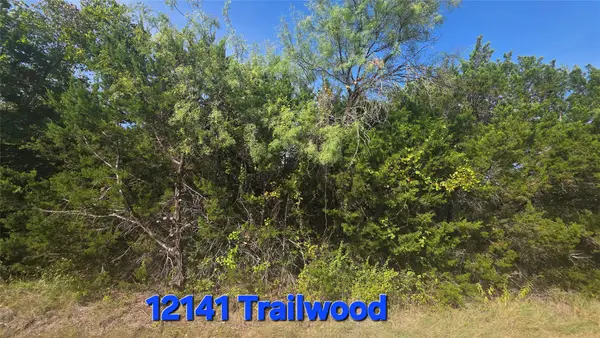 12141 Trailwood Drive, Whitney, TX 76692