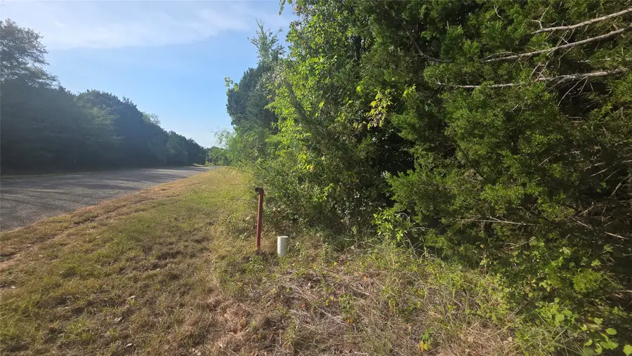 12141 Trailwood Drive, Whitney, TX 76692 - #2