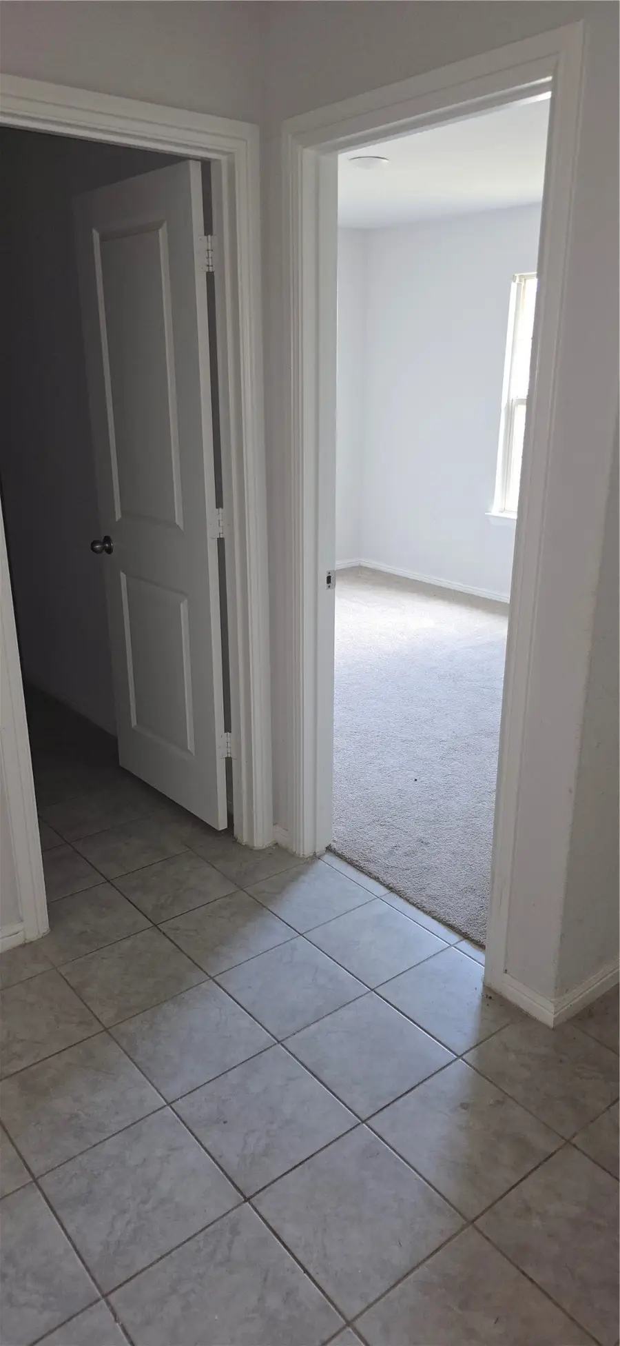 16629 White Fish Lane, Justin, TX 76247 - #3