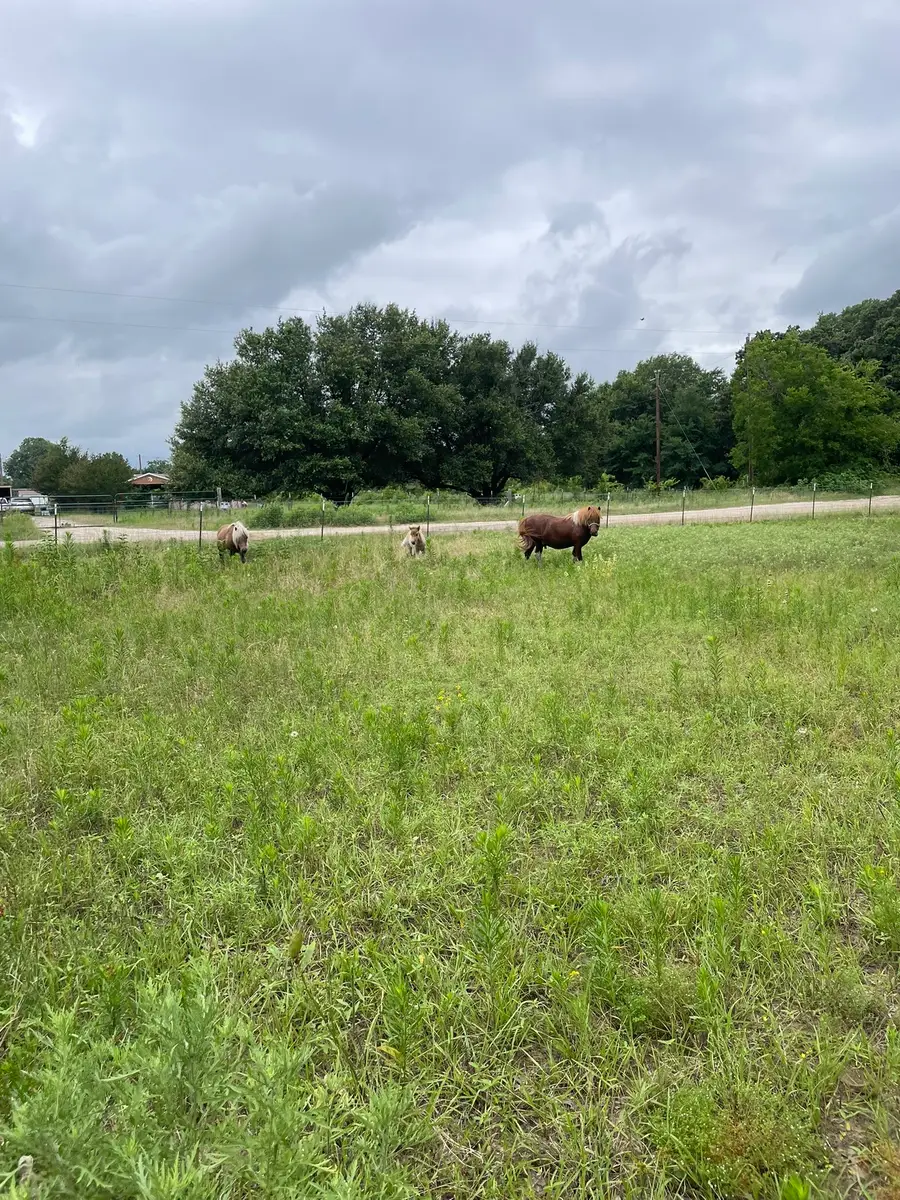 TBD Private Road 2545, Quinlan, TX 75474 - #2