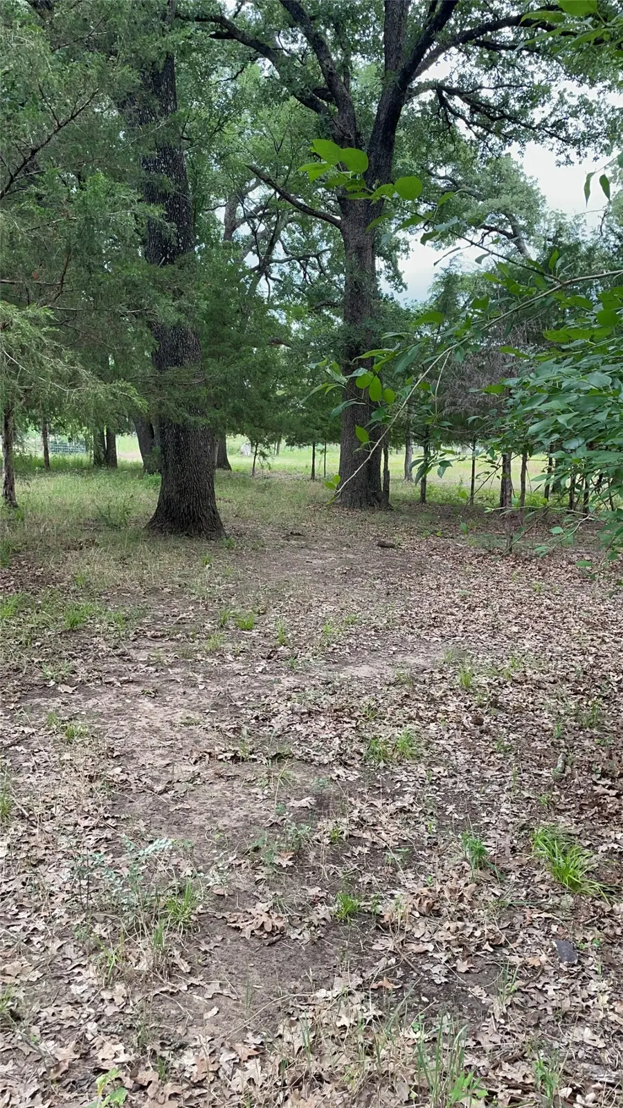 TBD Private Road 2545, Quinlan, TX 75474 - #3