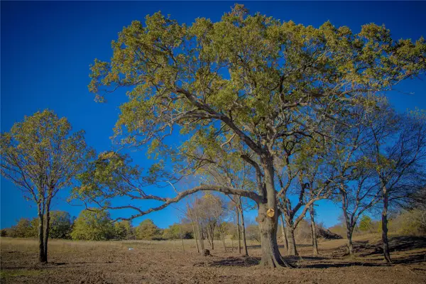 Tract 4 Lazy E Rd, St Jo, TX 76265