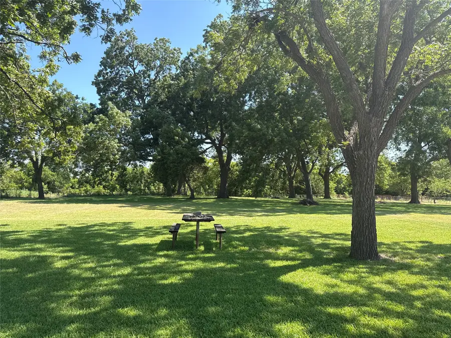 501 Chaparall Road, Ellis, TX 75125 - #2