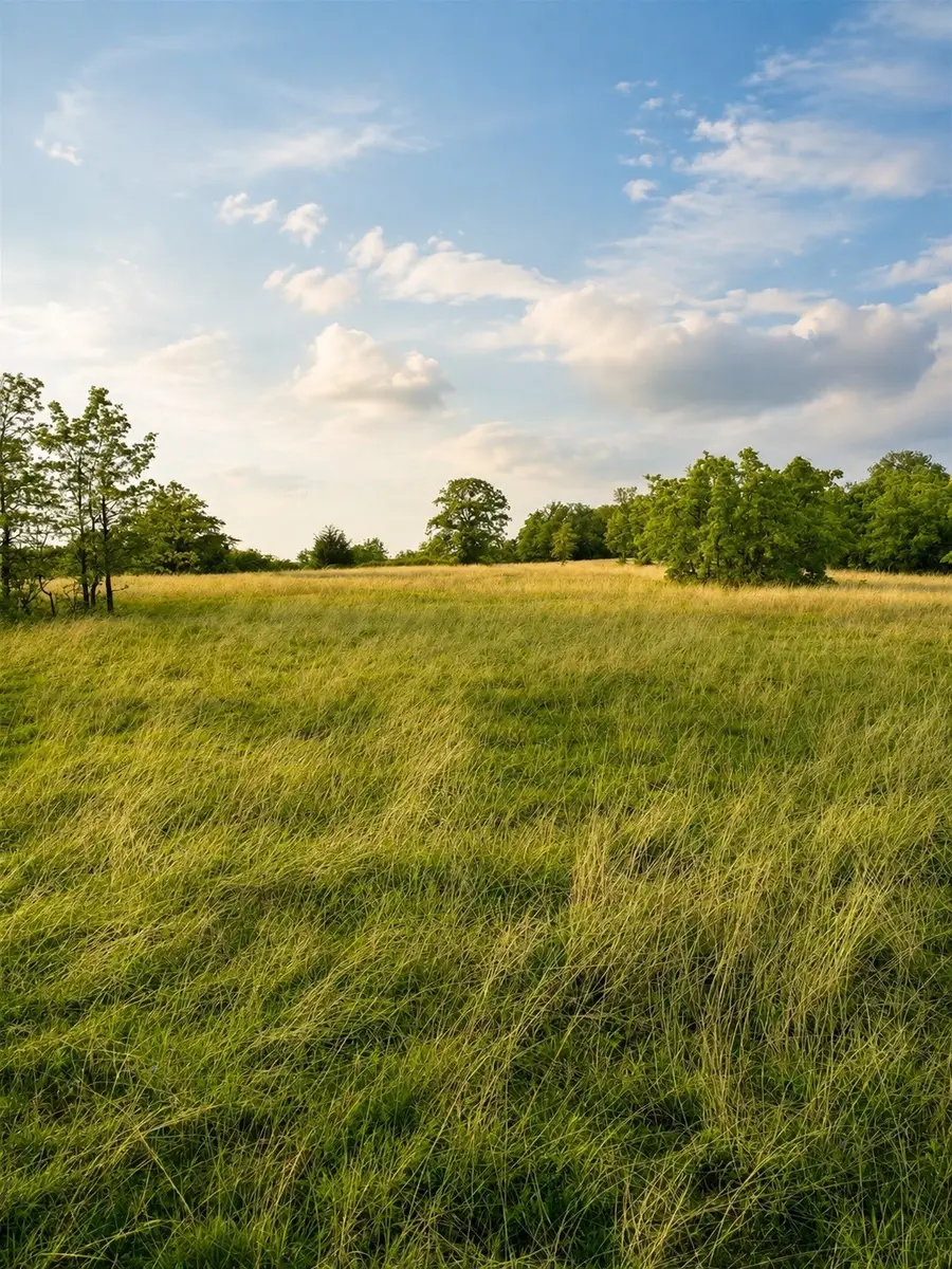 Lot 10 Pleasant Hill Road, Sunset, TX 76270 - #3