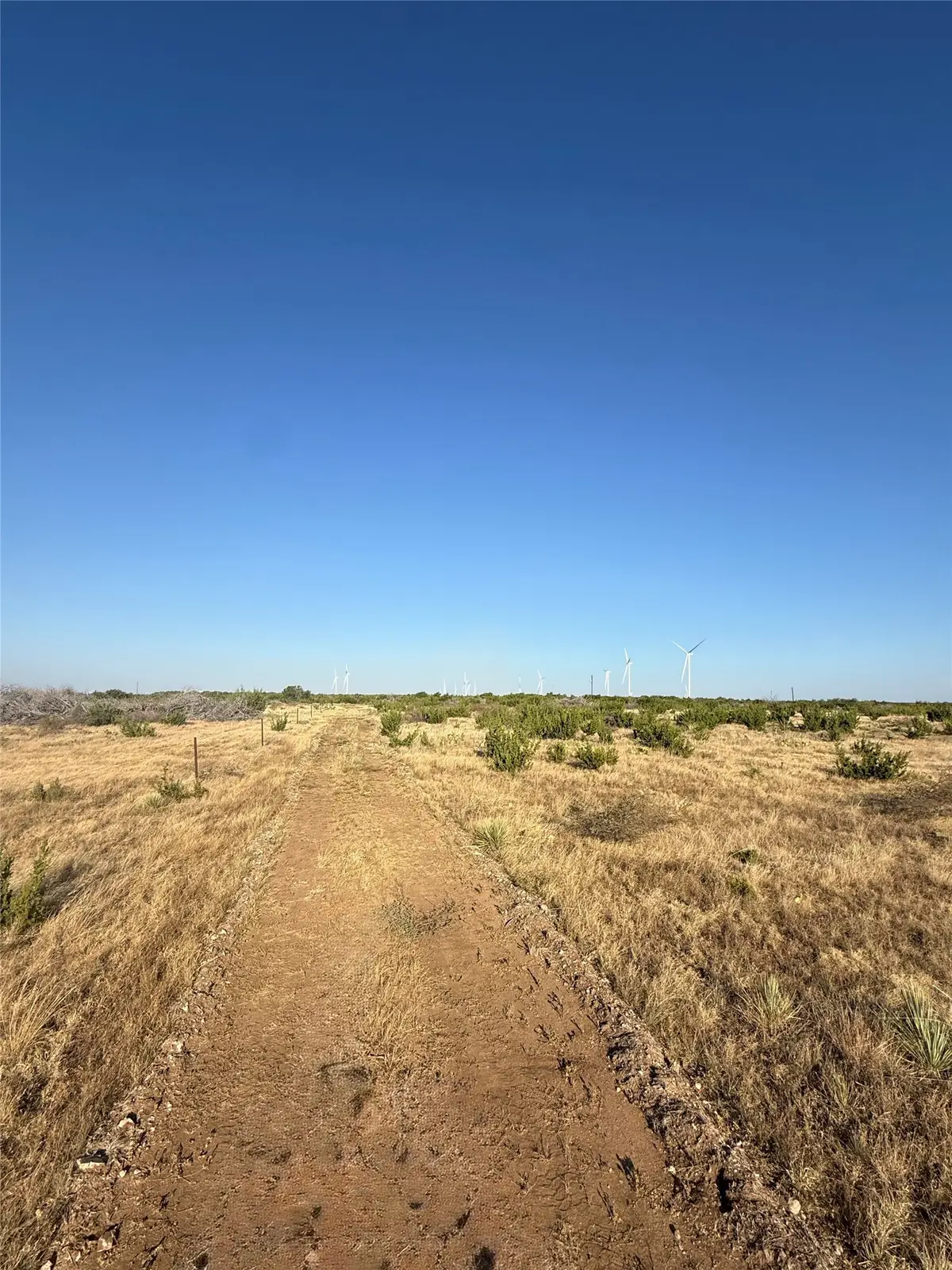 2033 Cr 351, Merkel, TX 79536 - #1