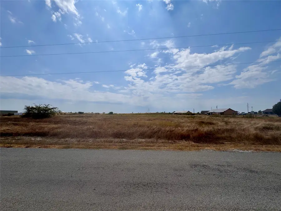 Lot 8 Blue Ridge Drive, Weatherford, TX 76088 - #3