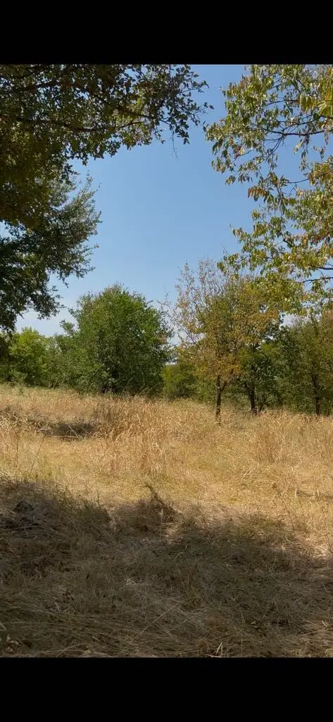 103235 Hillside Circle, Lone Oak, TX 75453