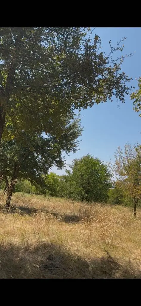 103235 Hillside Circle, Lone Oak, TX 75453 - #2