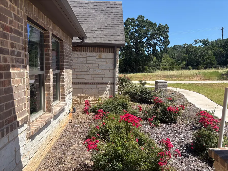 100 Aslan Road, Poolville, TX 76487 - #3