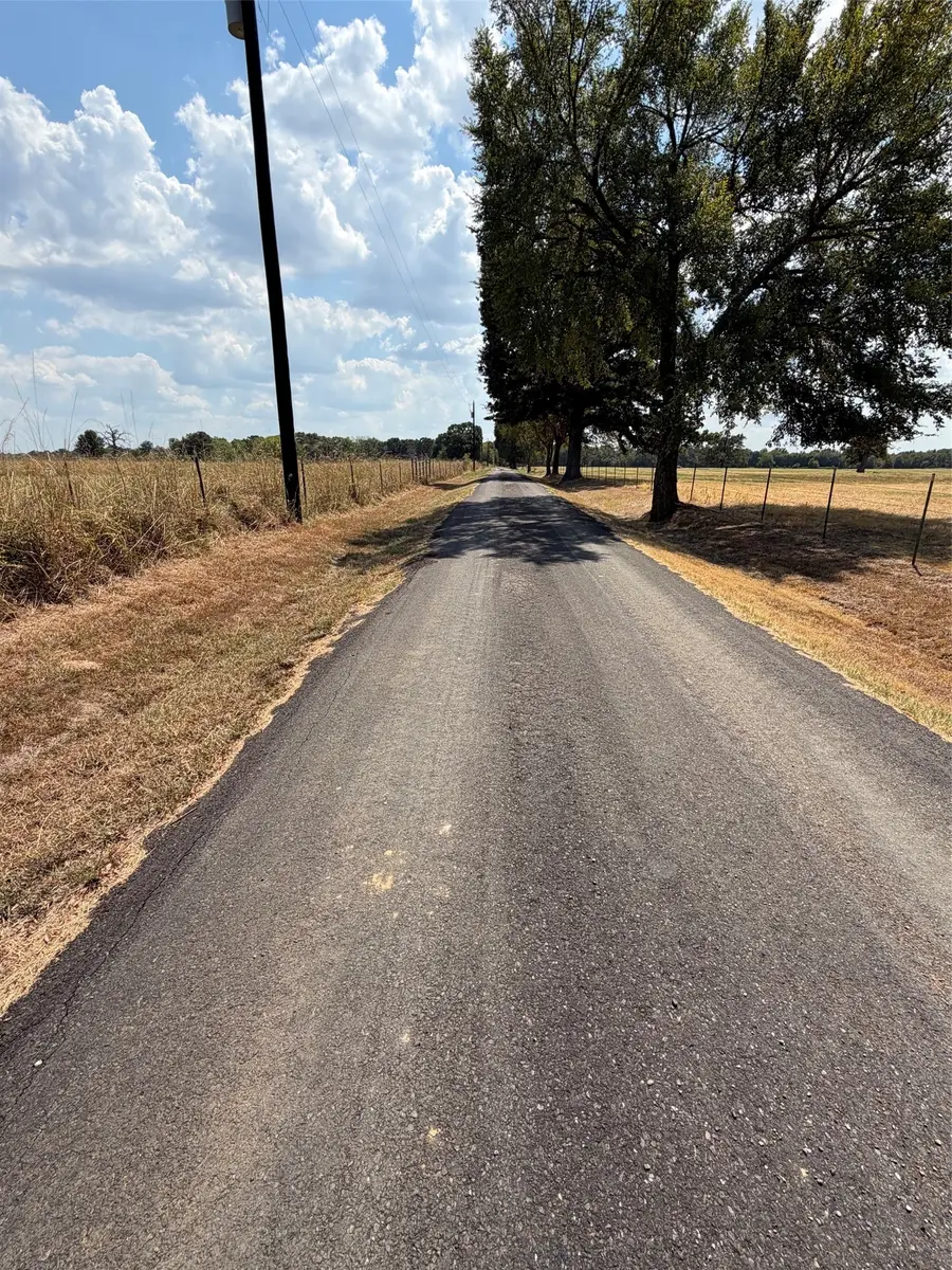 1196 Rs County Road 3220, Emory, TX 75440 - #2