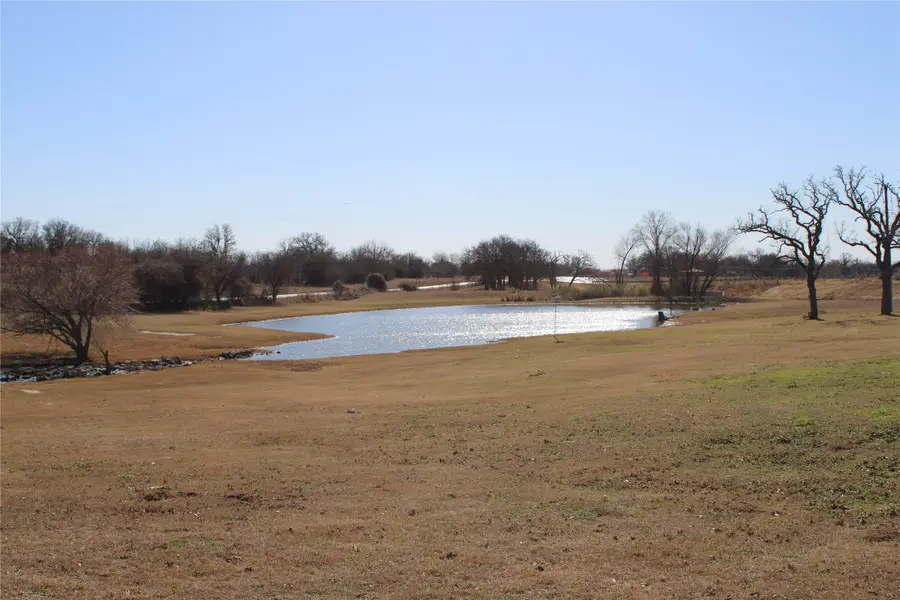 133 Highgate Drive, Boyd, TX 76023 - #3