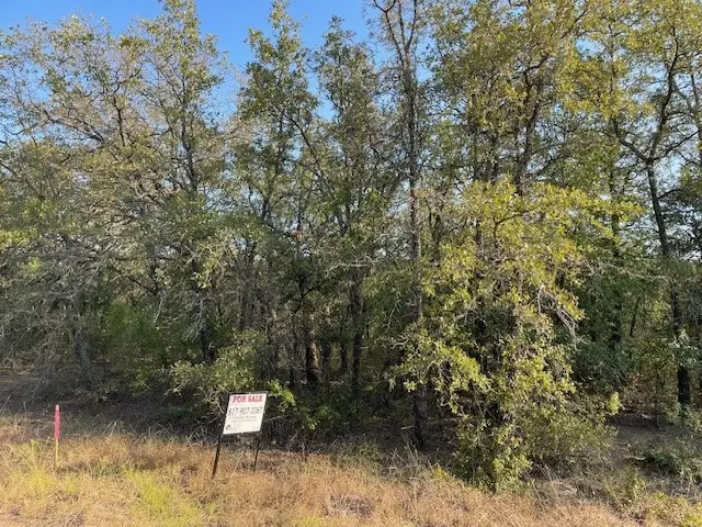 TBD Comewell Court, Runaway Bay, TX 76426 - #1