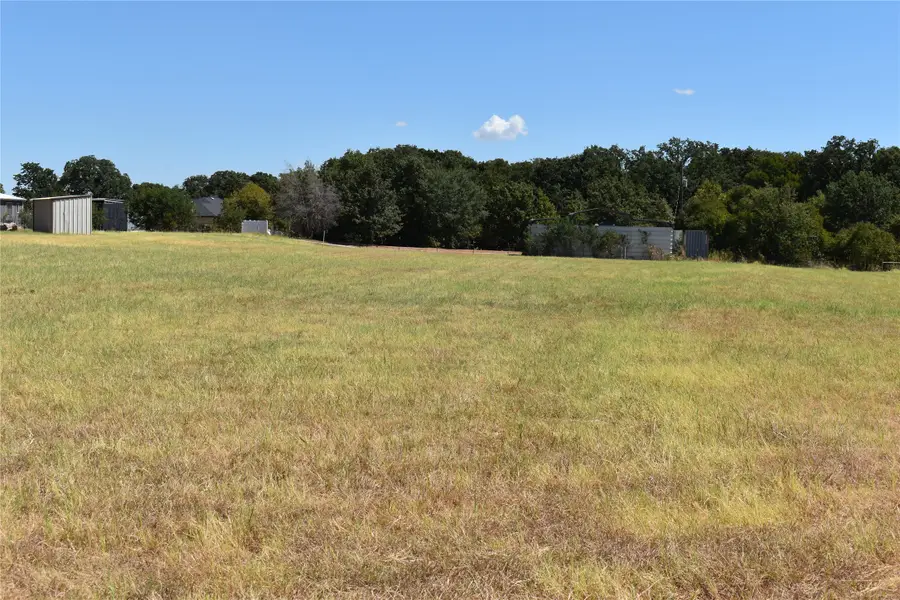 TBD Fm 4, Grandview, TX 76050 - #2