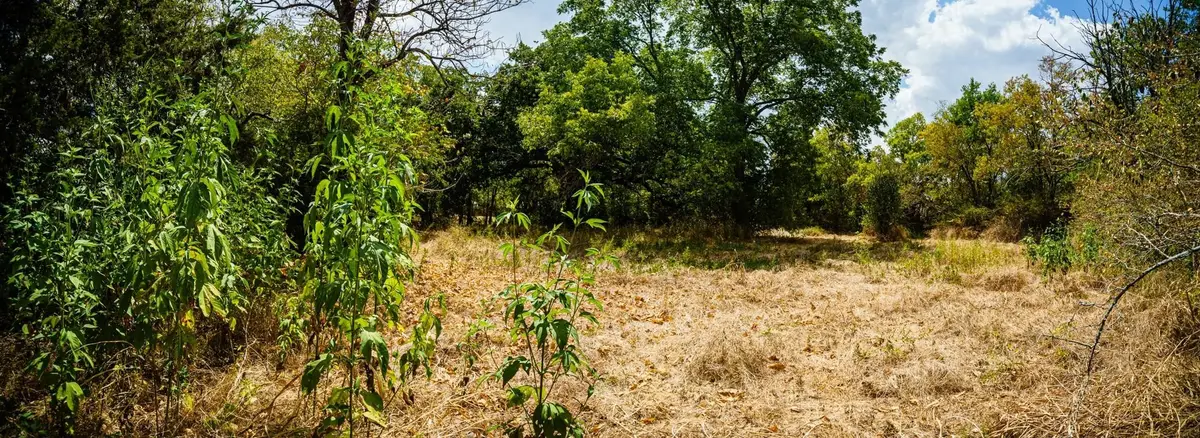 500 College Mound Road, Terrell, TX 75160 - #1