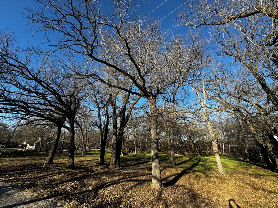 175 Quail Haven Street, Alvarado, TX 76009 - #3