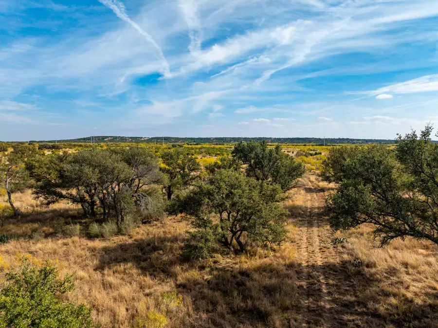 Buffalo4 Ranch Cr 290, Blackwell, TX 79506 - #3
