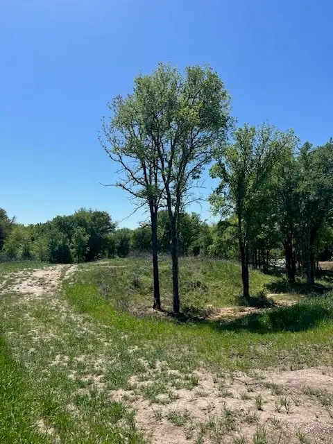 1004 Bermes Court, Brock, TX 76087 - #1