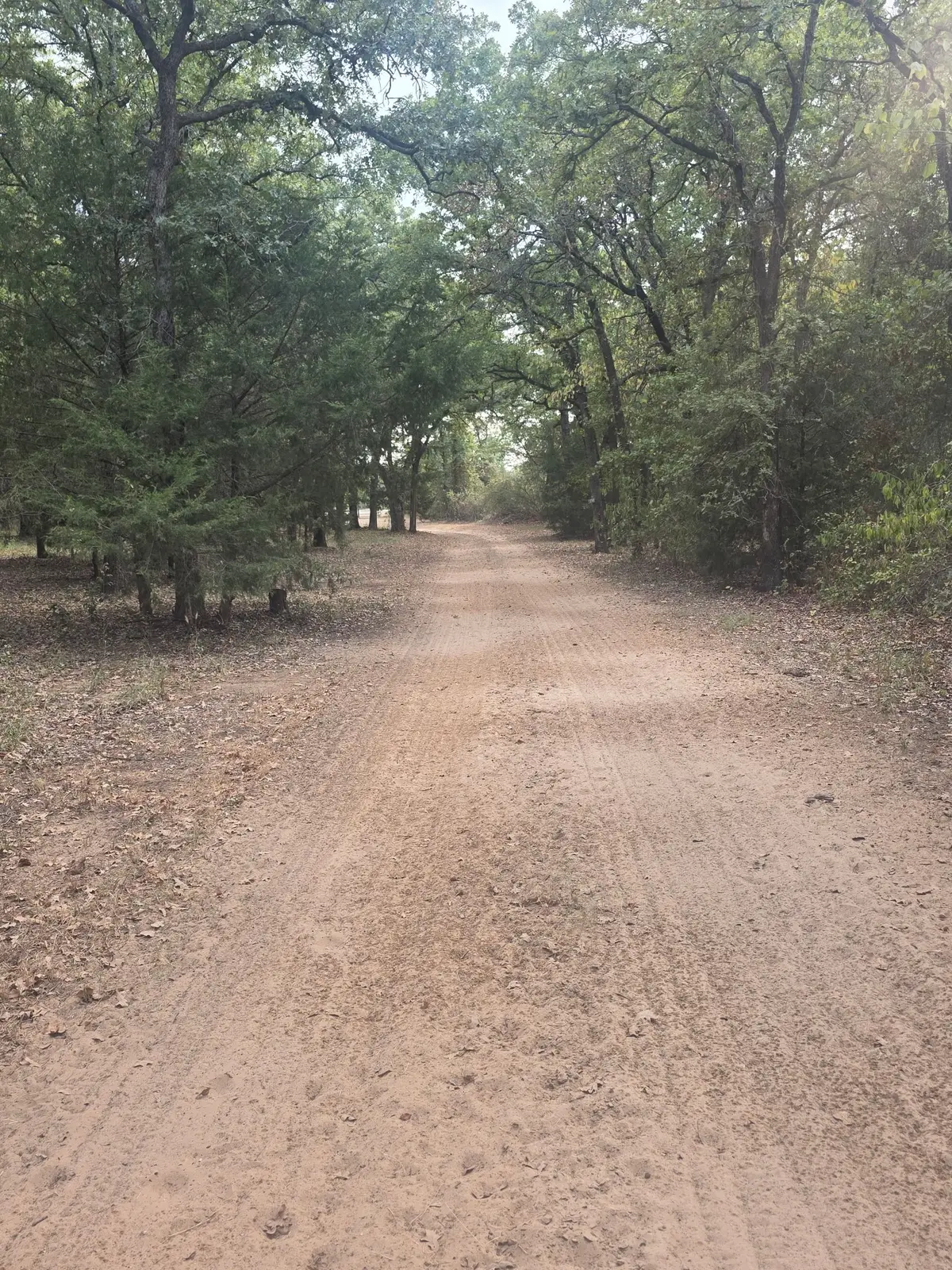 490 Hcr 1250, Whitney, TX 76692 - #1